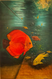 Fish - Yuvraj Patil