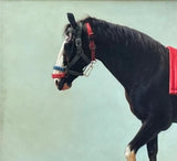 Untitled 8 - Ajay Bhowmick