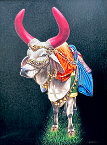 Bull II - Yuvraj Patil