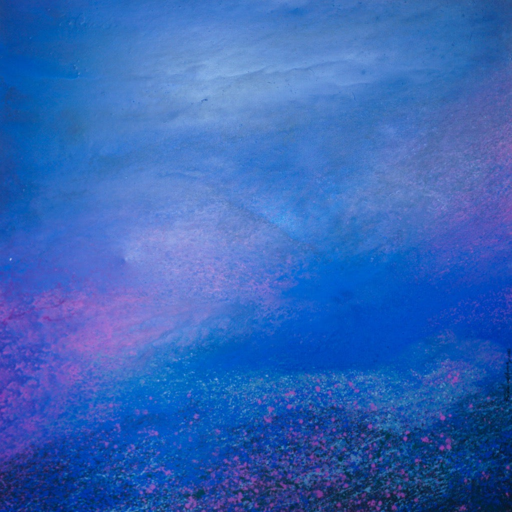 Blue Sky - Pramod Arya