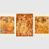 Three Abstract works - Arshi