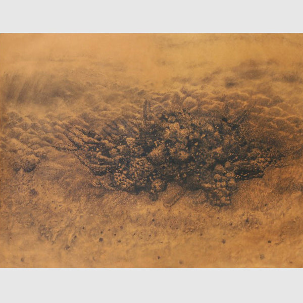 Untitled 2 - Diptej Vernekar