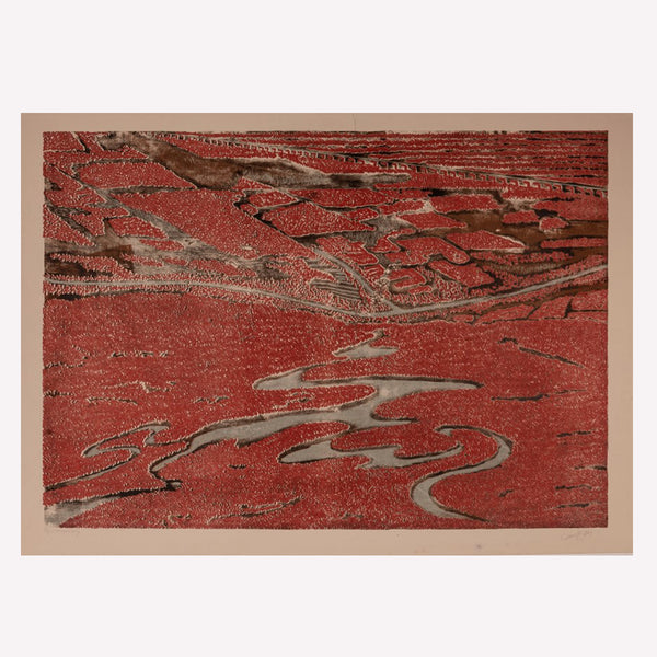 Untitled / Aerial View II - TN